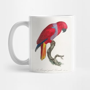 The Eclectus Parrot, Eclectus roratus, male from Natural History of Parrots (1801—1805) by Francois Levaillant Mug